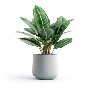 New Product